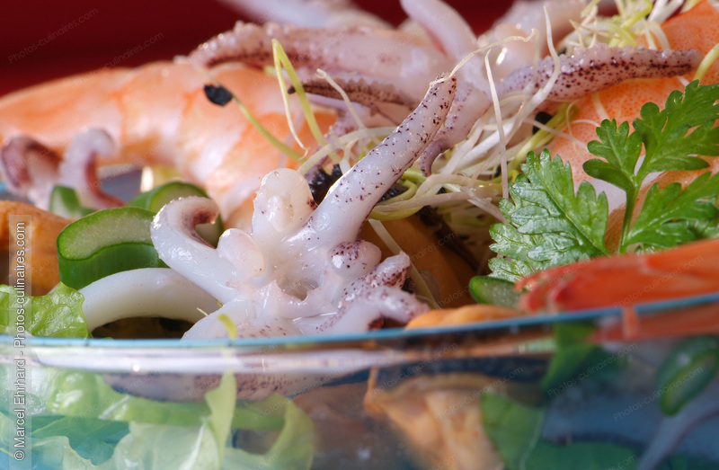 Salade de fruits de mer - photo r&eacute;f&eacute;rence PO274N.jpg