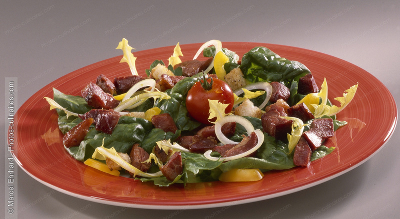 Salade de magret de canard - photo r&eacute;f&eacute;rence PC670.jpg
