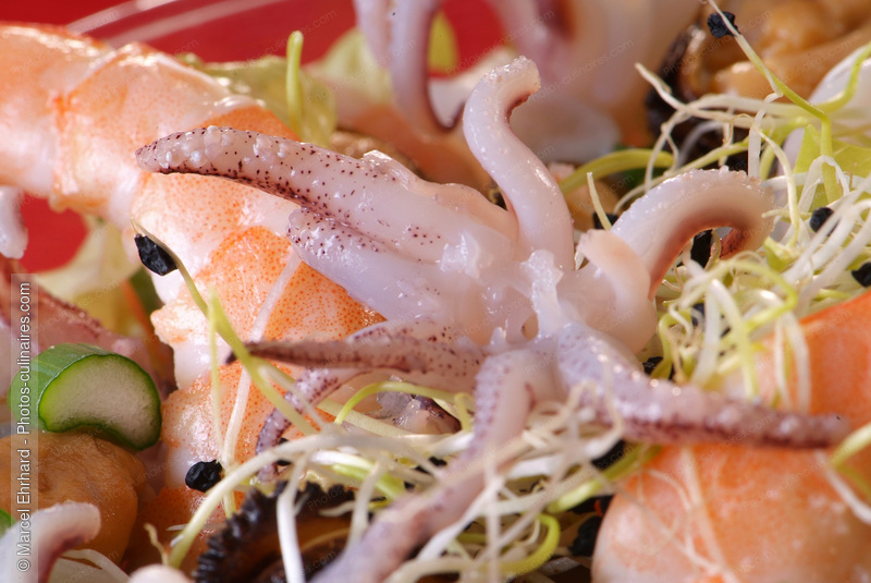 Salade m&eacute;lange de la mer - photo r&eacute;f&eacute;rence PO276N.jpg