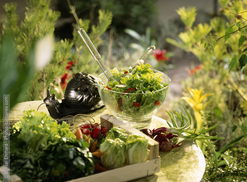 Salade verte sur une table de jardin - photo référence PC524.jpg