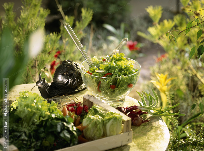 Salade verte sur une table de jardin - photo r&eacute;f&eacute;rence PC524.jpg