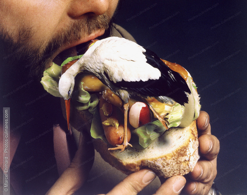 Sandwich à la cigogne - photo référence KP195.jpg