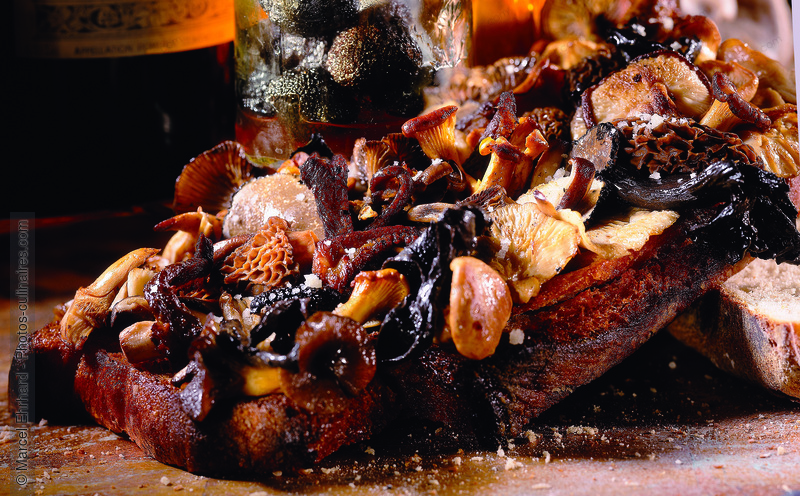 Sandwich aux champignons - photo r&eacute;f&eacute;rence KP74N.jpg