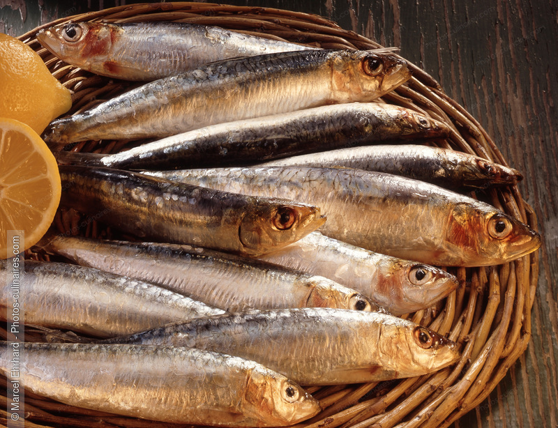 Sardines crues - photo r&eacute;f&eacute;rence PO47.jpg