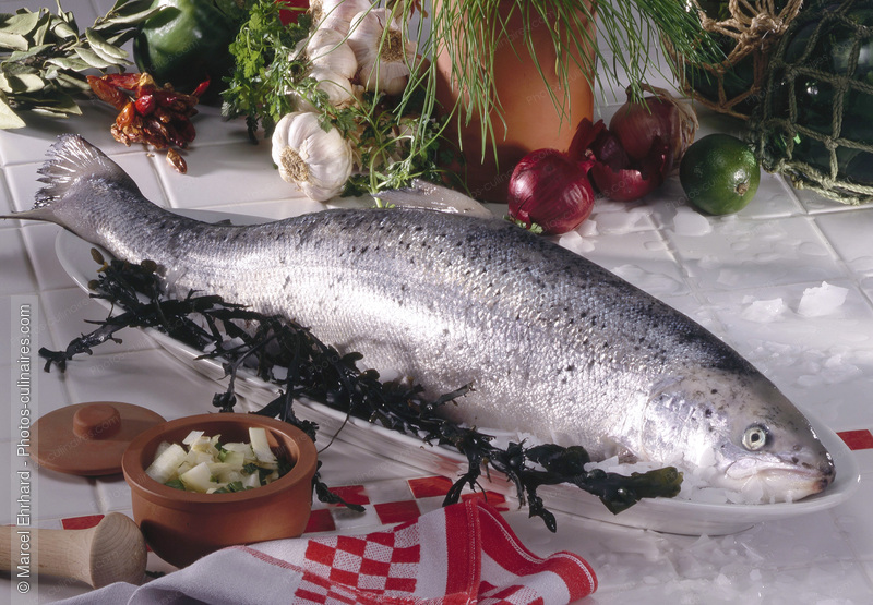 Saumon cru en pr&eacute;paration culinaire - photo r&eacute;f&eacute;rence PO488.jpg