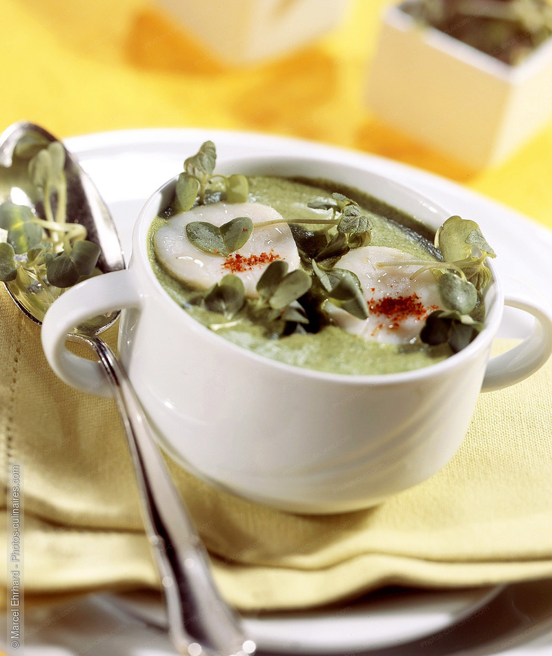 Soupe de cresson - photo r&eacute;f&eacute;rence PC1174N.jpg