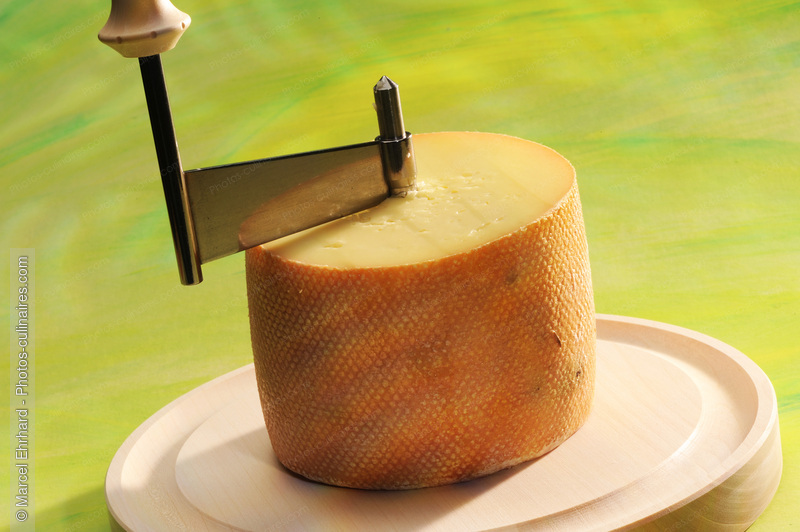 T&ecirc;te de moine et girolle - photo r&eacute;f&eacute;rence FR243N.jpg