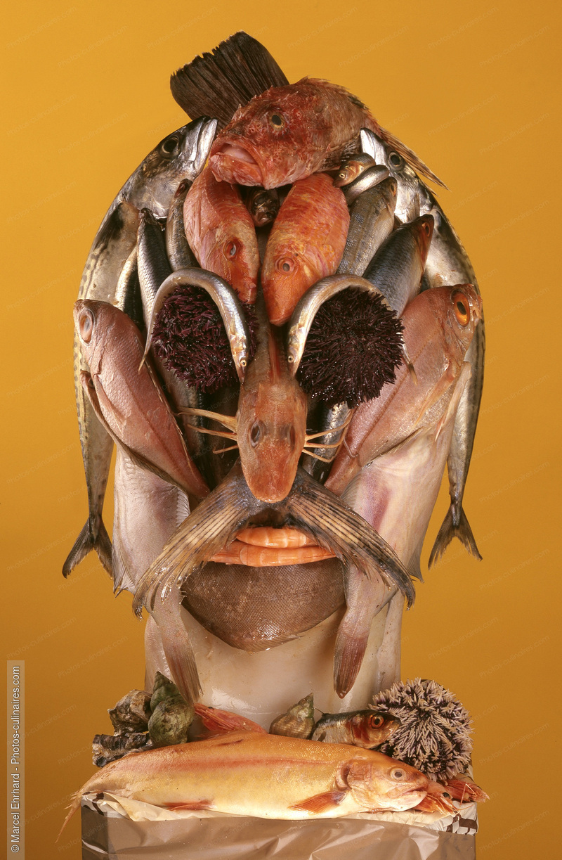 T&ecirc;te de poissons - photo r&eacute;f&eacute;rence PO81.jpg