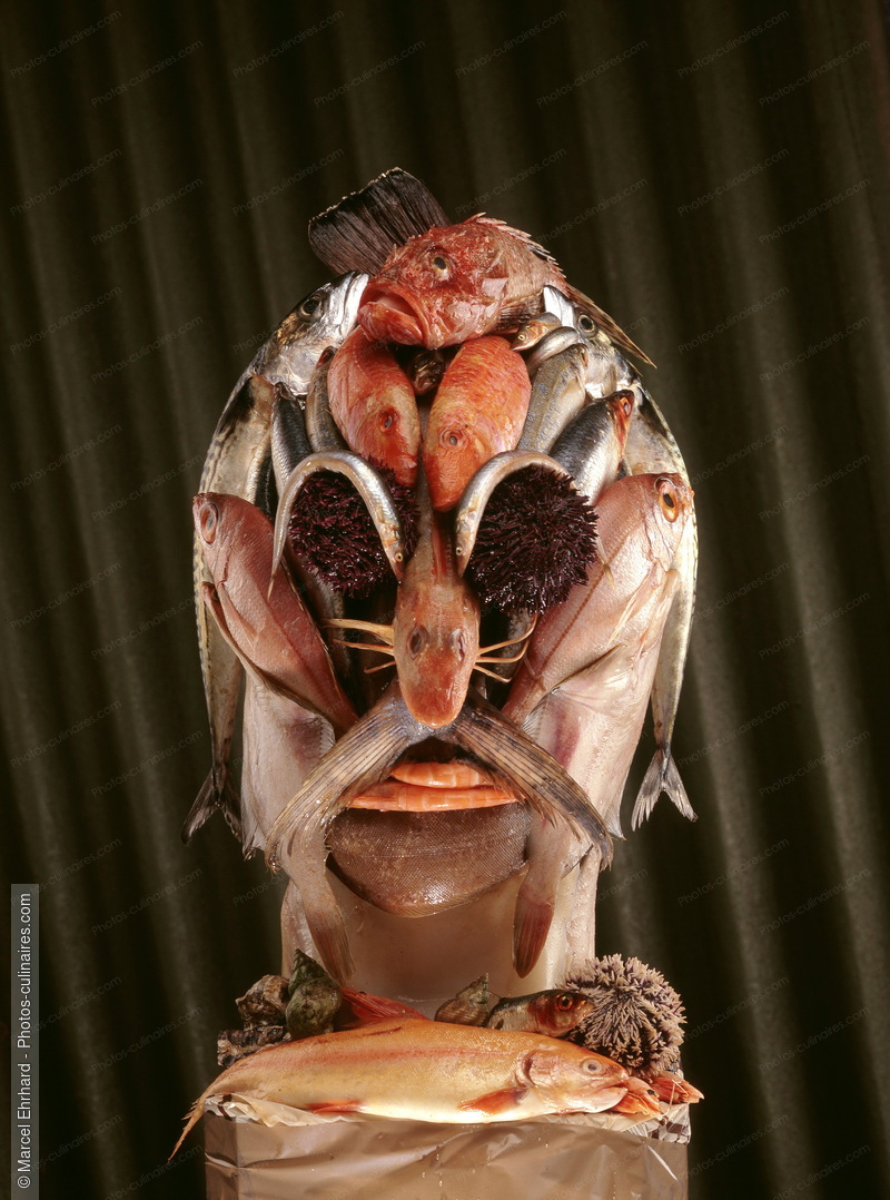 T&ecirc;te de poissons - photo r&eacute;f&eacute;rence PO82.jpg