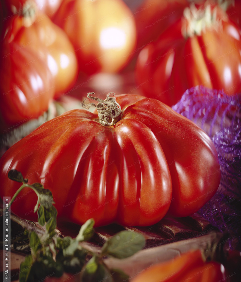 Tomate coeur de boeuf - photo r&eacute;f&eacute;rence LE469.jpg