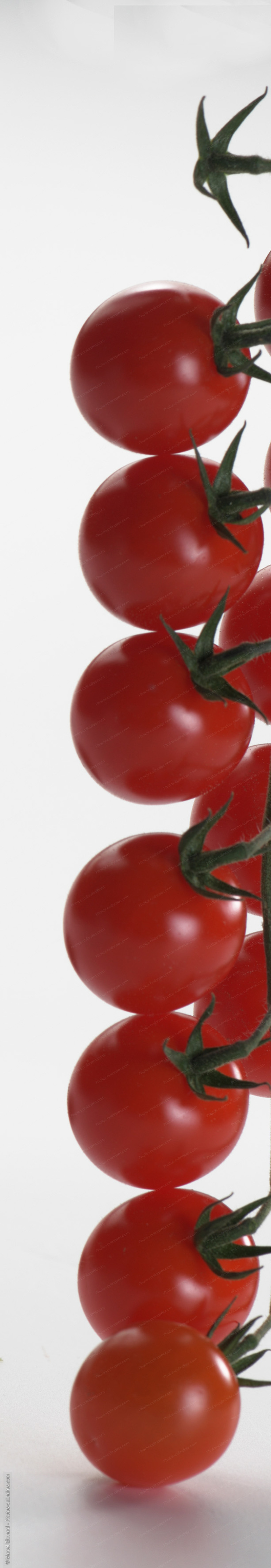 Tomate - photo r&eacute;f&eacute;rence LE676N.jpg