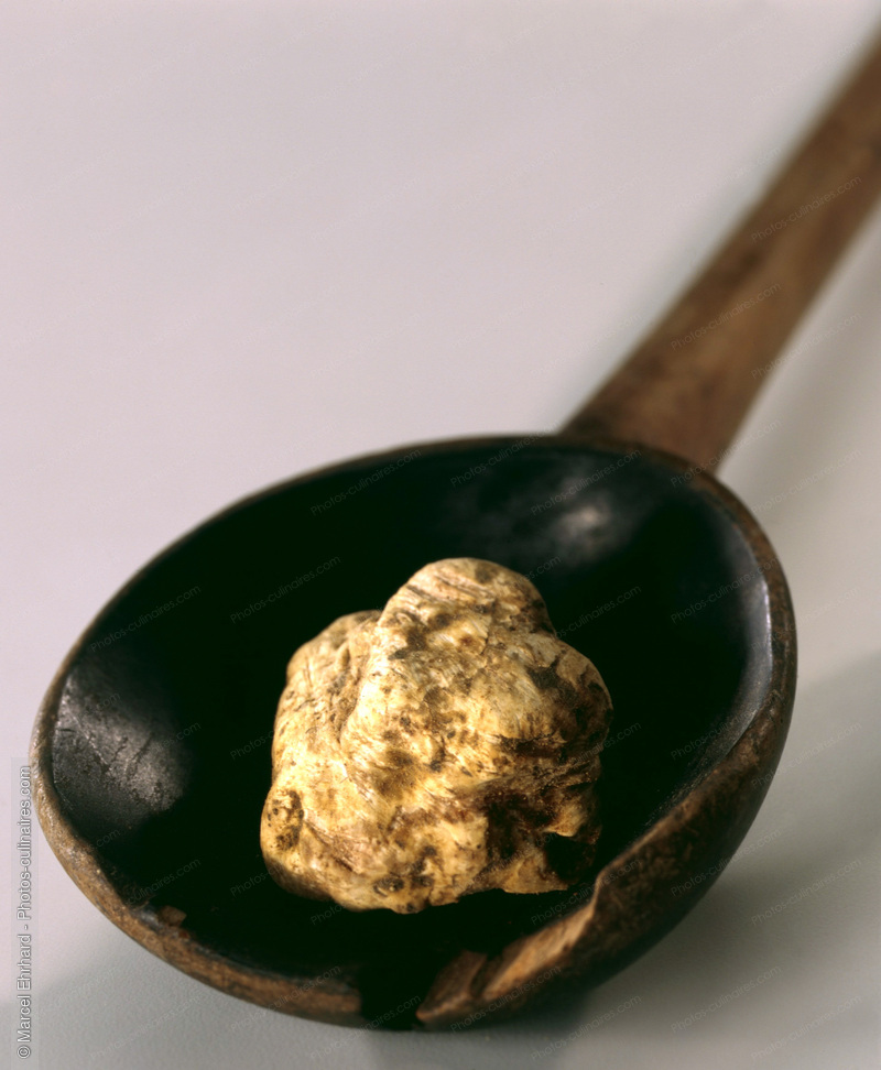 Truffe blanche dans une cuill&egrave;re - photo r&eacute;f&eacute;rence LE124.jpg