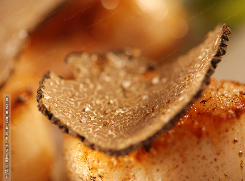 Truffe sur coquille Saint Jacques - photo r&eacute;f&eacute;rence PO224N.jpg