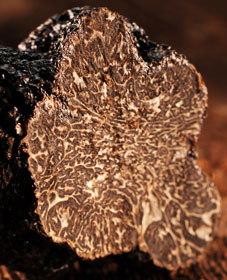 Truffe tranchée