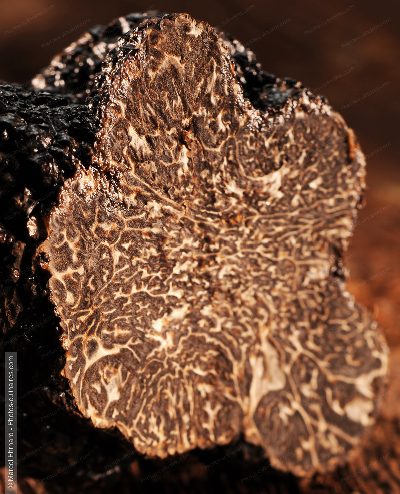 Truffe tranch&eacute;e - photo r&eacute;f&eacute;rence LE541N.jpg