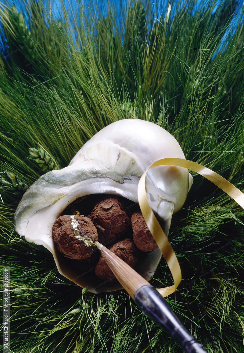 Truffes au chocolat et coquillage - photo référence DE646.jpg