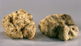 Truffes blanches d'Alba