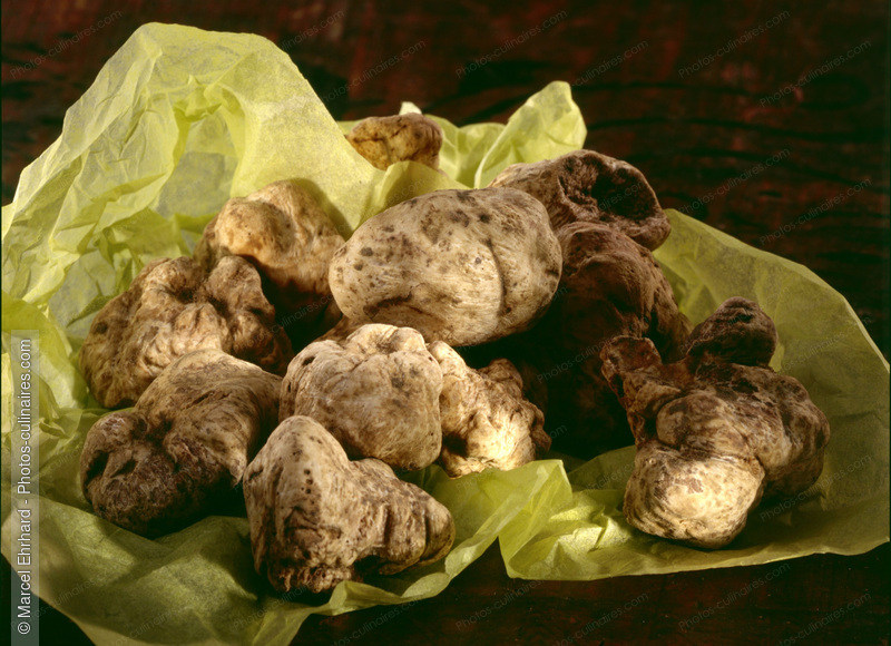 Truffes blanches emball&eacute;es - photo r&eacute;f&eacute;rence LE127.jpg