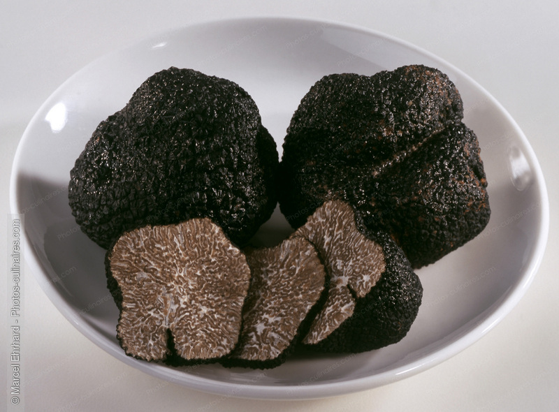 Truffes dans une assiette - photo r&eacute;f&eacute;rence LE80.jpg