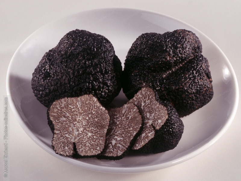 Truffes noires dans une soucoupe - photo référence LE74.jpg