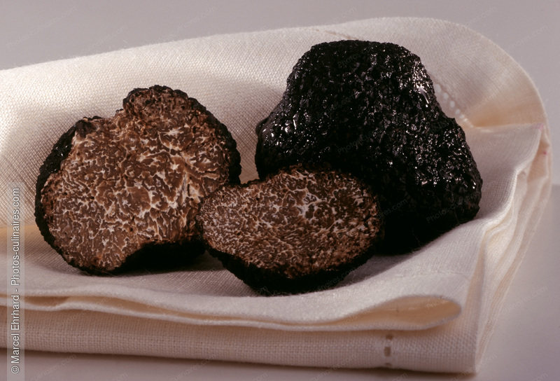 Truffes noires sur torchon - photo r&eacute;f&eacute;rence LE78.jpg