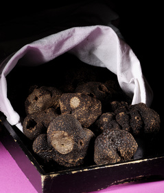 Truffes noires