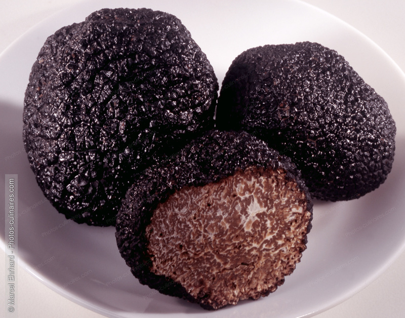 Truffes noires - photo r&eacute;f&eacute;rence LE81.jpg