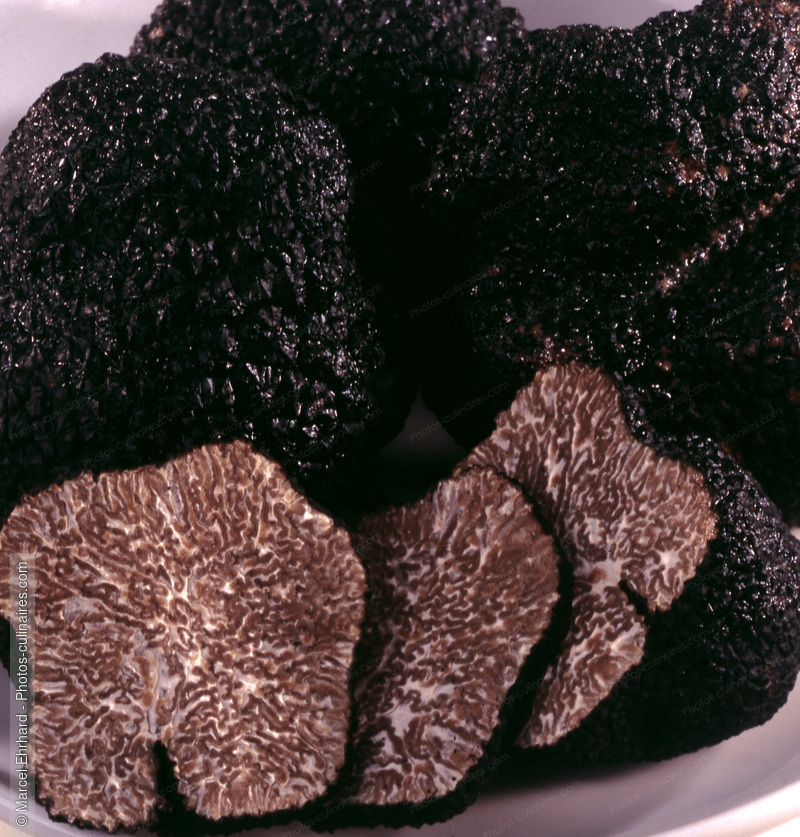 Truffes noires - photo r&eacute;f&eacute;rence LE82.jpg