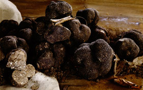 Truffes