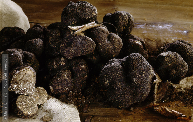 Truffes - photo r&eacute;f&eacute;rence LE306.jpg