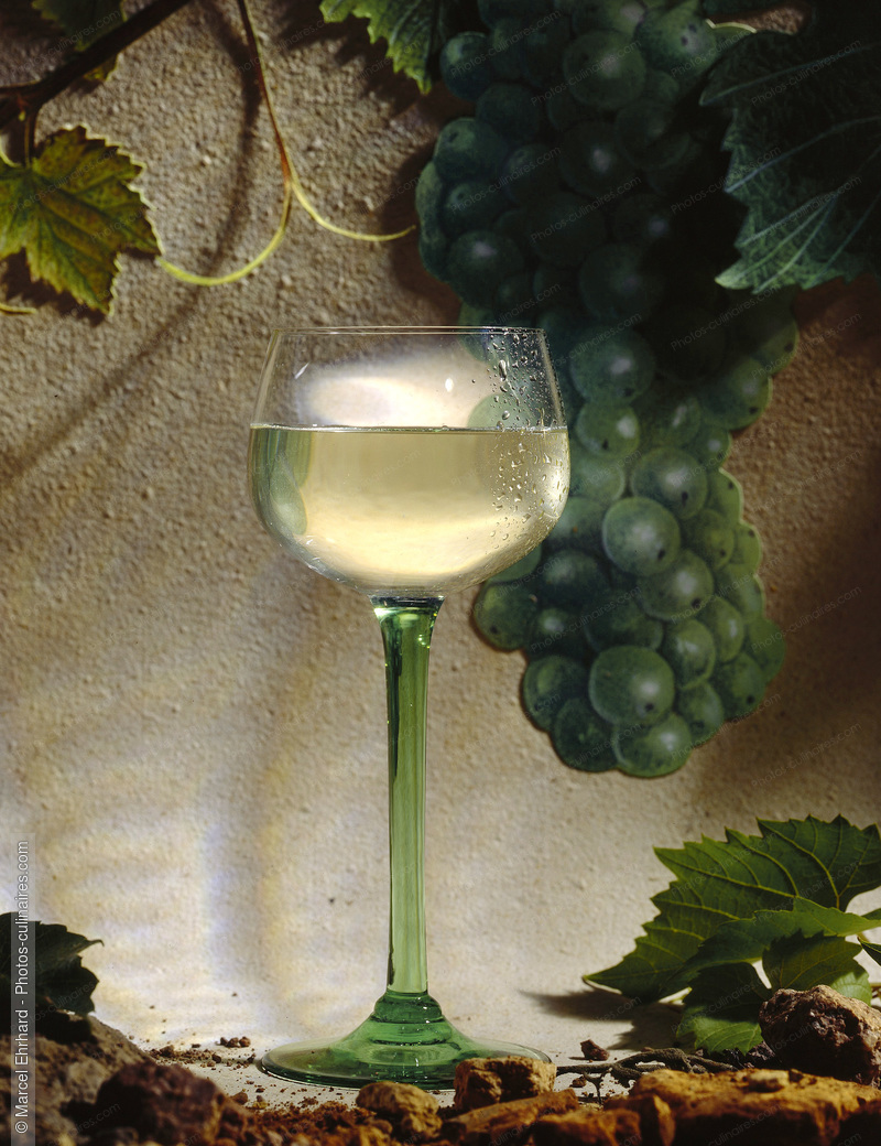 Verre de vin blanc d'alsace - photo référence BO104.jpg