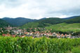 Vignoble d'Alsace