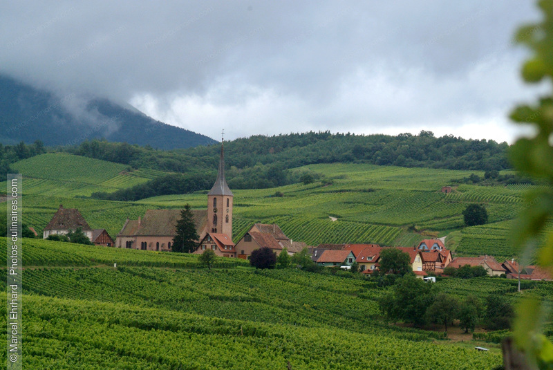 Vignoble d'Alsace - photo référence VIN06N.jpg