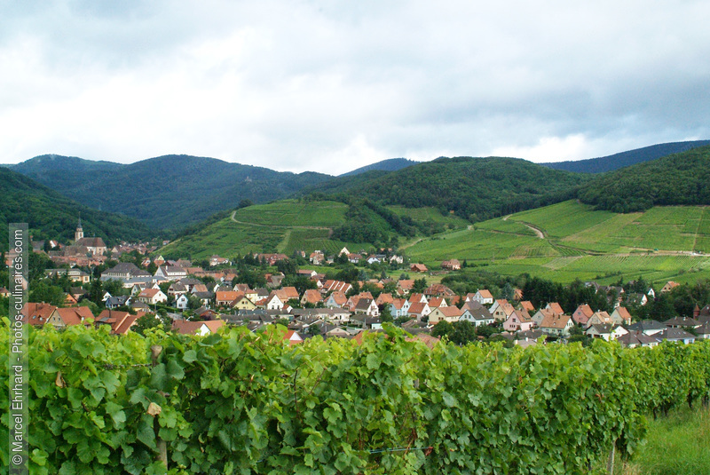 Vignoble d'Alsace - photo référence VIN07N.jpg