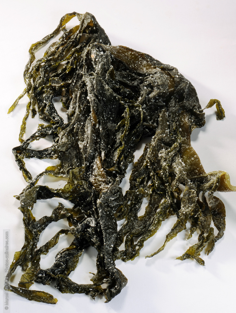Wakame - photo r&eacute;f&eacute;rence LE450N.jpg