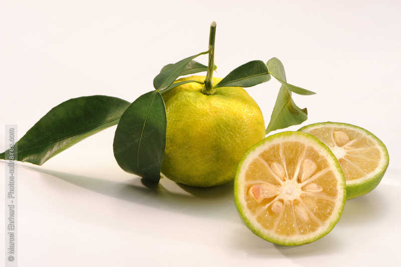 Yuzu et yuzu tranch&eacute; - photo r&eacute;f&eacute;rence FRU302N.jpg